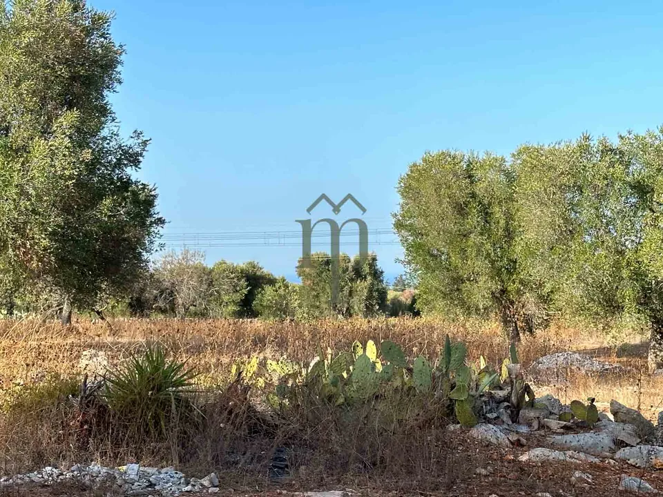 Helårsgrund i Carovigno, Brindisi - foto 2